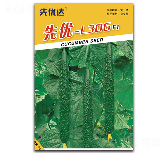 �ȃ�(y��u)L-306-�S�ϷN��-�ȃ�(y��u)�_(d��)