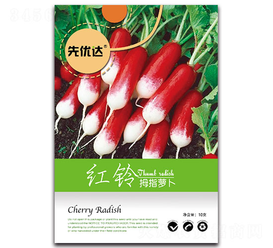 �t�-�}���N��-�ȃ�(y��u)�_(d��)