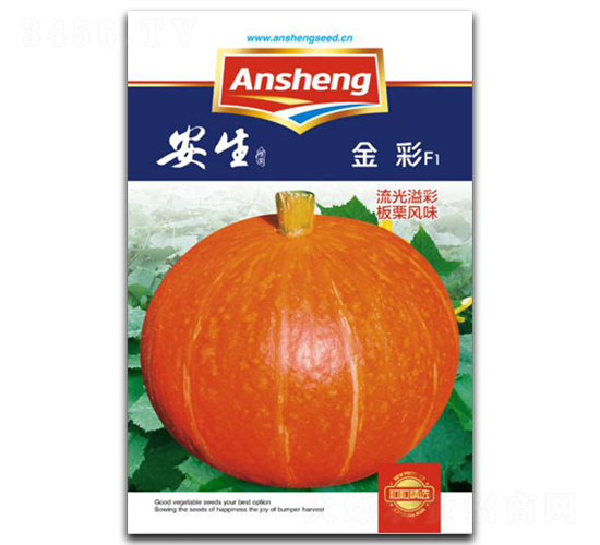 ���-�ϹϷN��-����