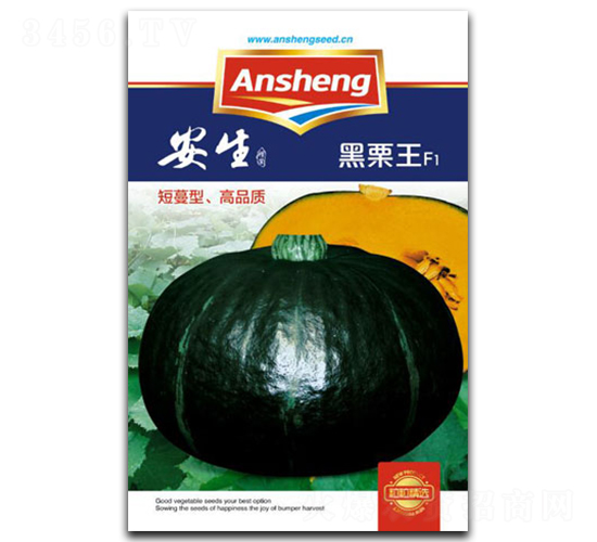 ������-�ϹϷN��-����