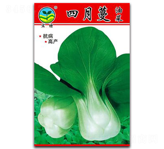 ������-�๣�˷N��-����