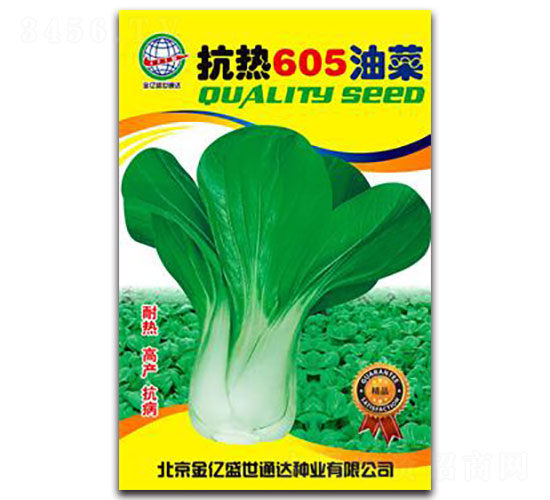 ����605�Ͳ�-�๣�˷N��-����