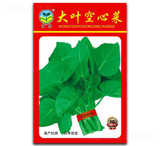 ���~���Ĳ�-���Ĳ˷N��-����