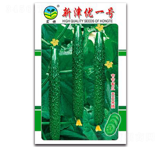 �½�(y��u)һ̖-�S�ϷN��-����