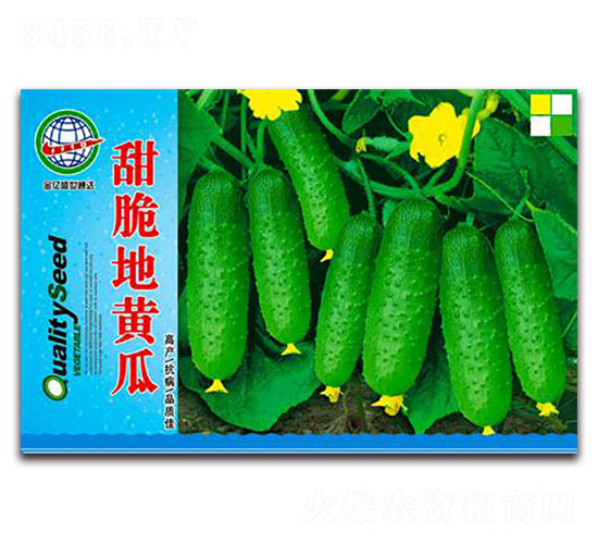 �����S��-�S�ϷN��-����