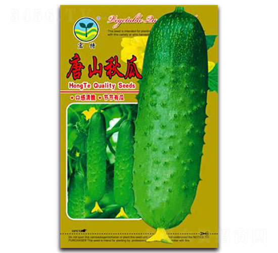 ��ɽ���-�S�ϷN��-����