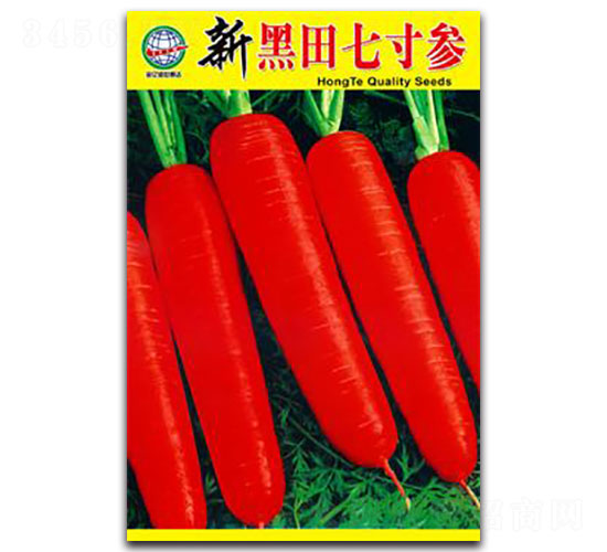 �º����ߴ煢-�}���N��-����