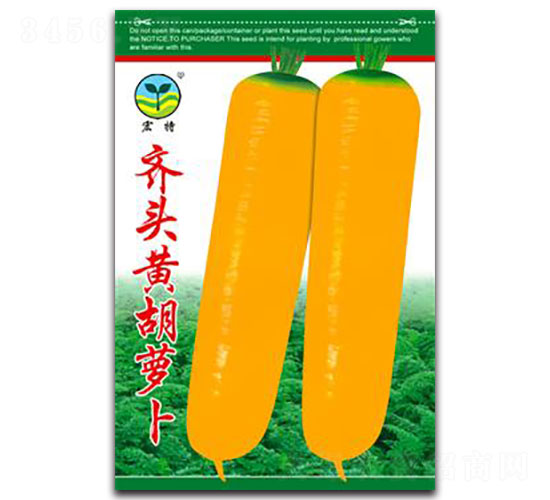 �R�^�S���}��-�}���N��-����