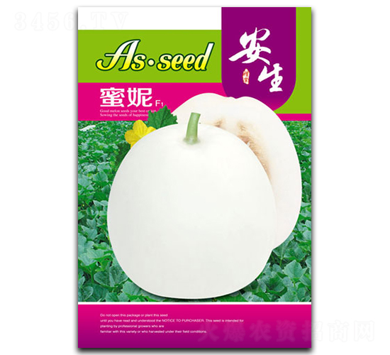 ����-��ϷN��-����