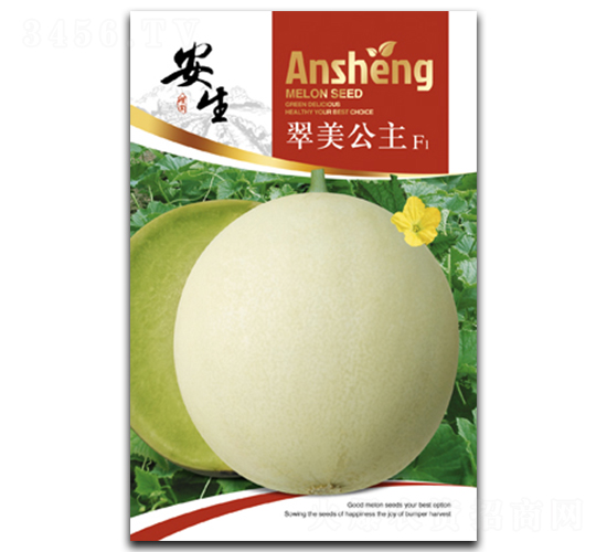 ��������-��ϷN��-����