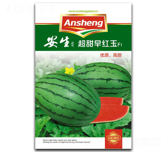 ������t��-���ϷN��-����