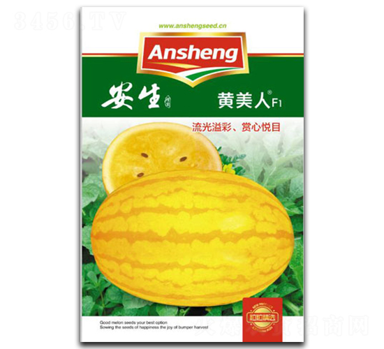 �S����-���ϷN��-����