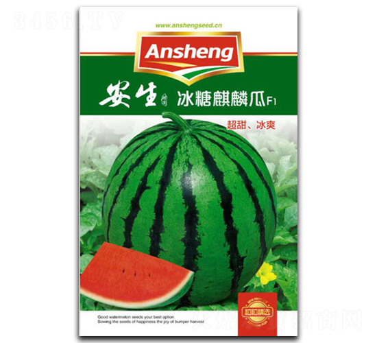 ���������-���ϷN��-����