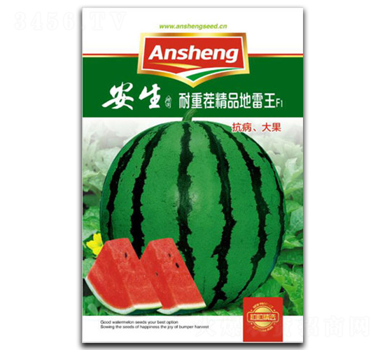 ���ز羫Ʒ������-���ϷN��-����