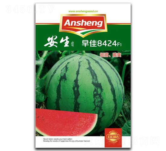 ���8424-���ϷN��-����