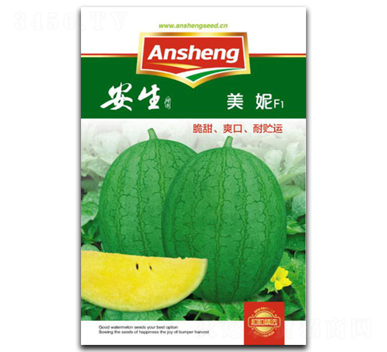 ����-���ϷN��-����