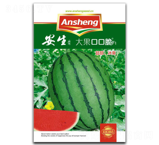 ����ڿڴ�-���ϷN��-����