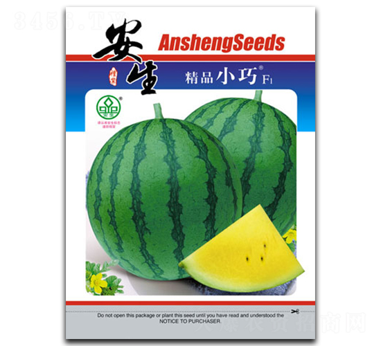 С��-���ϷN��-����