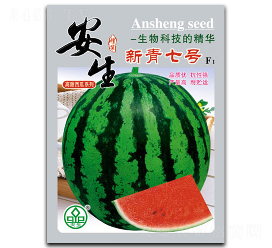 ������̖-���ϷN��-����