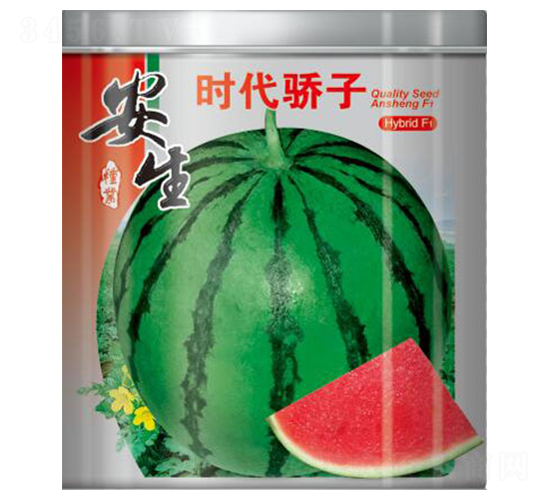 �r�����-���ϷN��-����