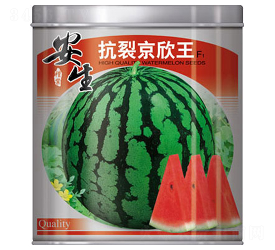 ���Ѿ�����-���ϷN��-����