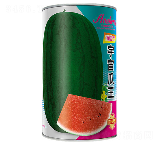 �������-���ϷN��-����