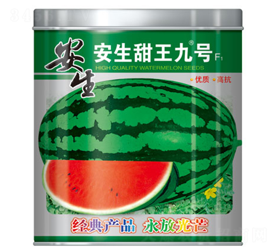 ����������̖-���ϷN��-����