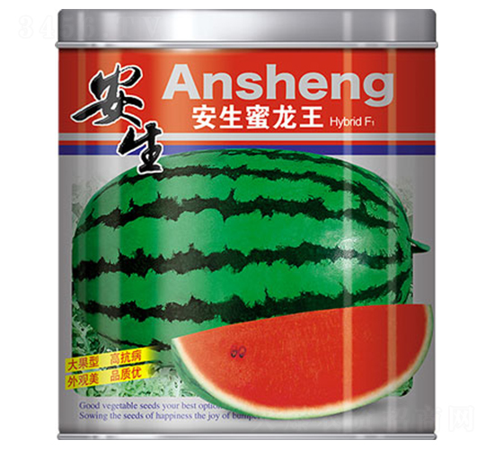 ����������-���ϷN��-����