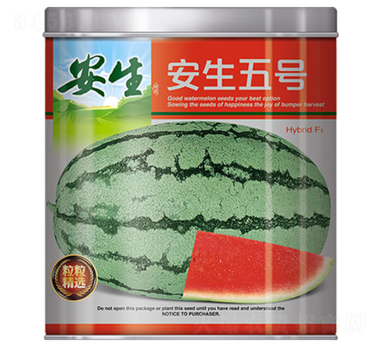 ������̖(h��o)-���ϷN��-����