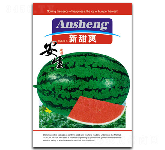 ��������ˬ-���ϷN��-����