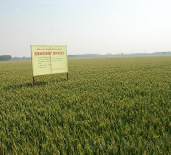 ����99-С���N��-���ǷN�I(y��)