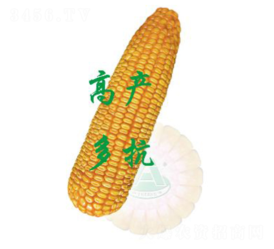 ����10-���׷N��-ԣ�S�N�I(y��)