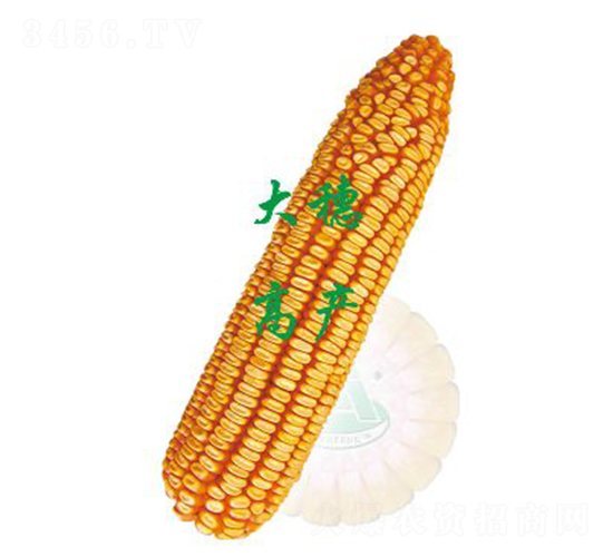 �r(n��ng)��364-���׷N��-ԣ�S�N�I(y��)