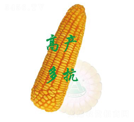 ����18-���׷N��-ԣ�S�N�I(y��)