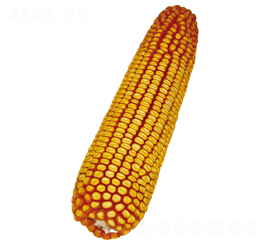 ����33-���׷N��-ԣ�S�N�I(y��)