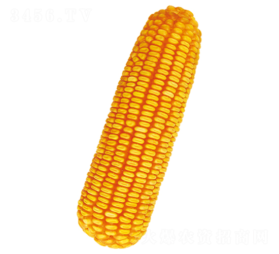 �r(n��ng)��116-���׷N��-ԣ�S�N�I(y��)