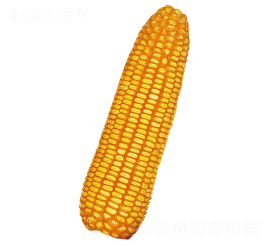 ����5-���׷N��-ԣ�S�N�I(y��)