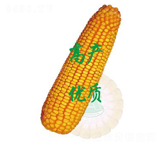 ����358-���׷N��-ԣ�S�N�I(y��)