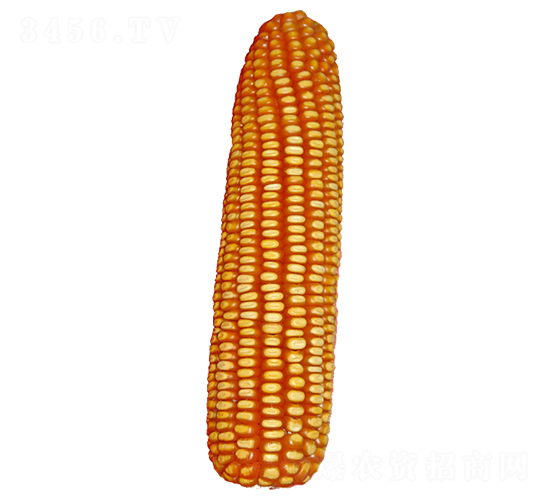 ԣ�S308-���׷N��-ԣ�S�N�I(y��)