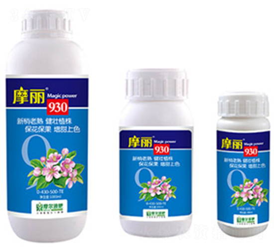 ħ��930-ħ��Һ��