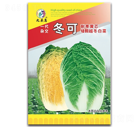 ����-��ײ˷N��-���^�B