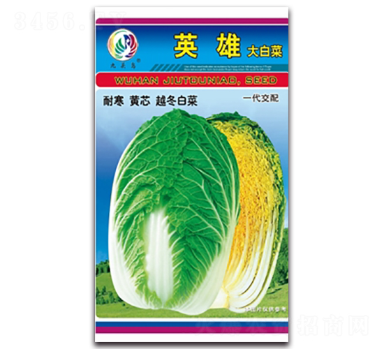 Ӣ��-��ײ˷N��-���^�B