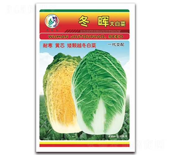 ����-��ײ˷N��-���^�B