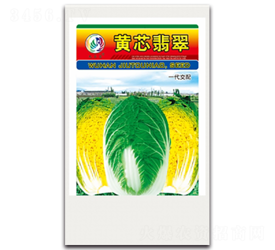 �Sо���-��ײ˷N��-���^�B