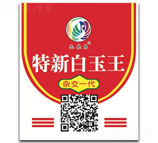 ���°�����-�}���N��-���^�B