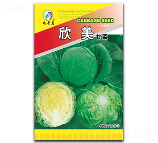 �������{(l��n)-���{(l��n)�N��-���^�B(ni��o)