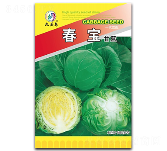 �������{(l��n)-���{(l��n)�N��-���^�B(ni��o)