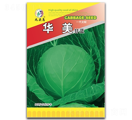 �A�����{(l��n)-���{(l��n)�N��-���^�B(ni��o)