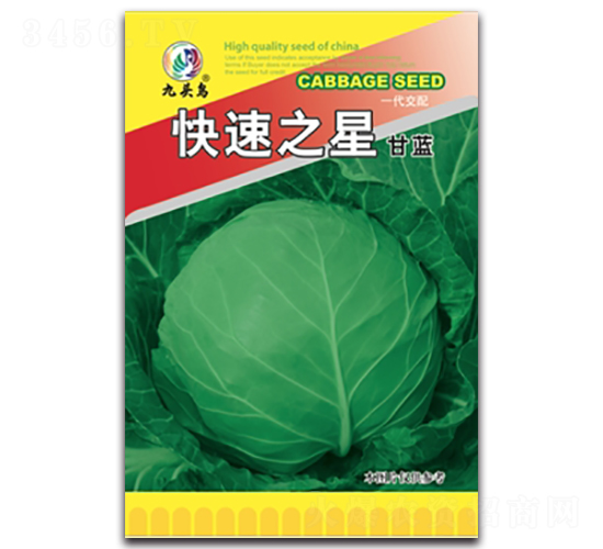 ����֮�Ǹ��{-���{�N��-���^�B