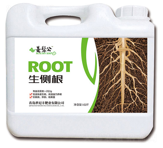 ����(c��)��-���׹�-���o(j��)�S